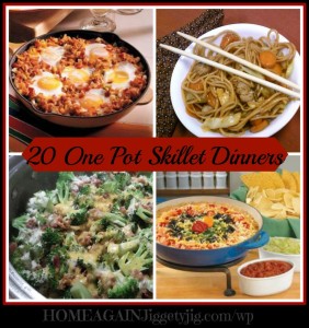 20-one-pot-skillet-dinners1-961x1024[1]