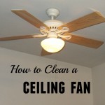 Ceiling fan