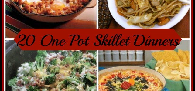 20 ONE-POT SKILLET DINNERS