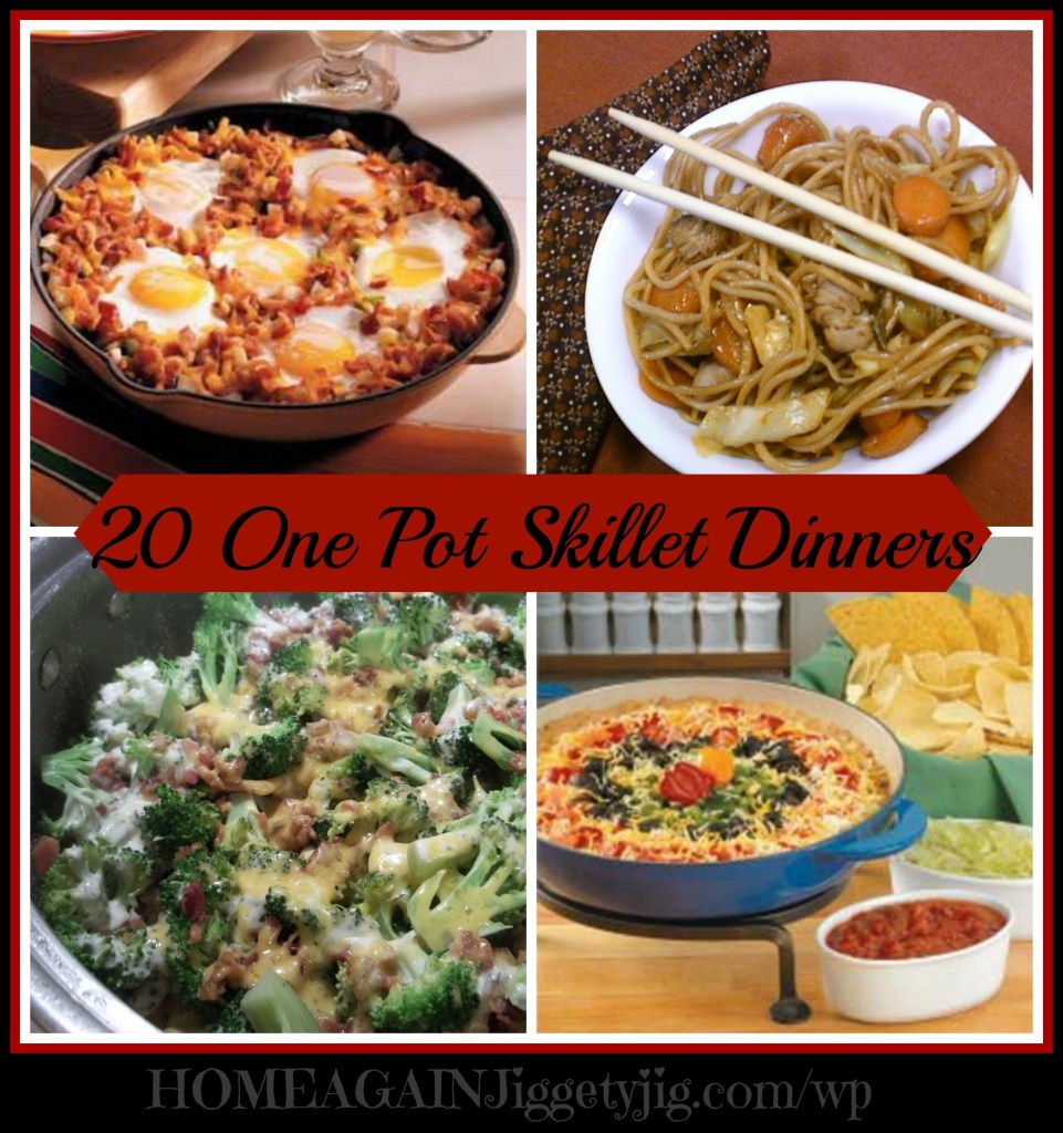 20 one pot skillet dinners